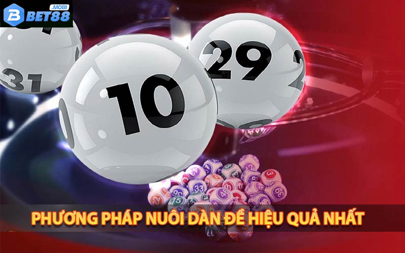 Phương pháp nuôi dàn đề 36 đa được kiểm chứng